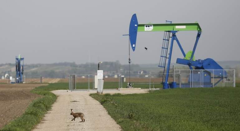 martillo-liebre-petroleo-reuters.jpg