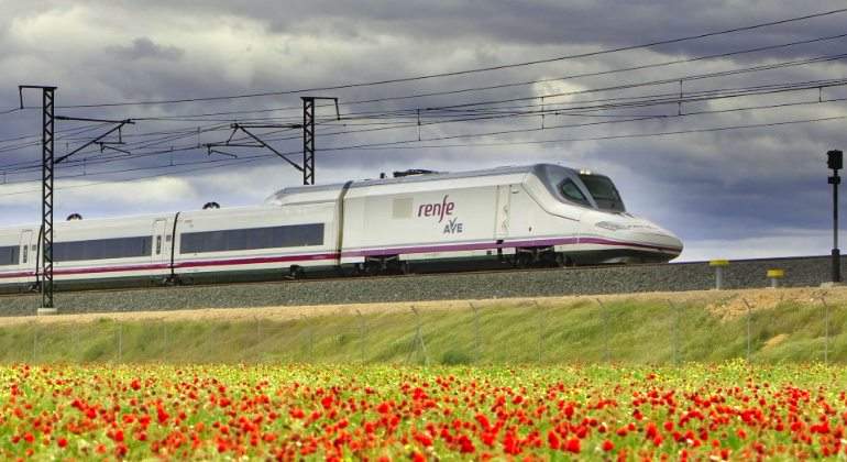 renfe-tren-campo-flores.jpg