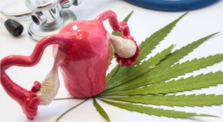 cannabis-utero-istock.jpg