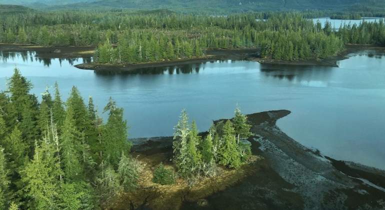 tongass-efe-770.jpg