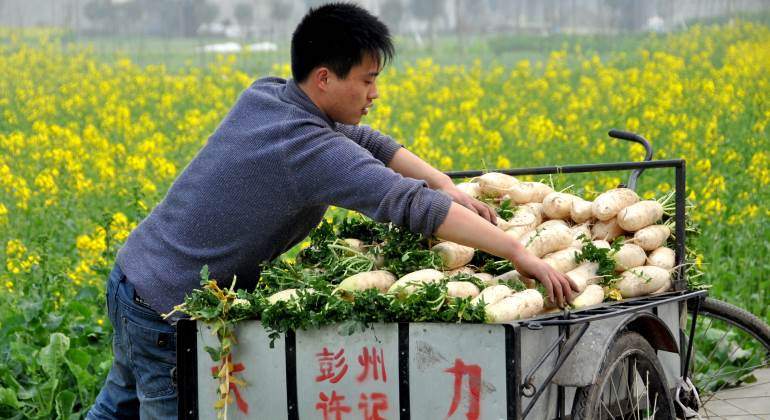 agricultor-chino-770-dreamstime.jpg