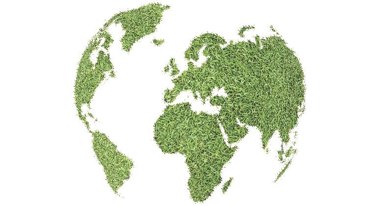 mundo-verde-770.jpg
