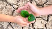plantar-arbol-voluntario-sostenibilidad-rsc-dreamstime.jpg
