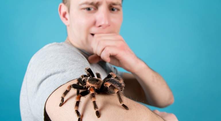 Chico-joven-con-una-arana-en-el-brazo-iStock.jpg