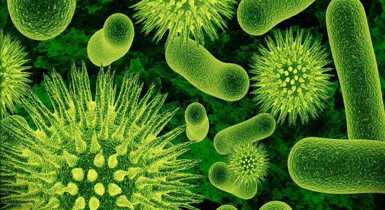 bacterias11111111111.jpg