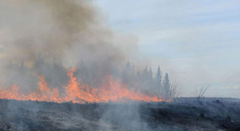 fuego-en-el-artico.jpg