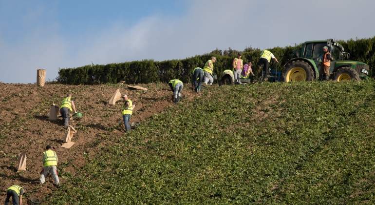 agricultura