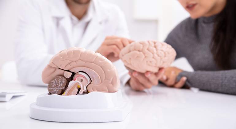 investigando-sobre-el-cerebro-humano.jpg