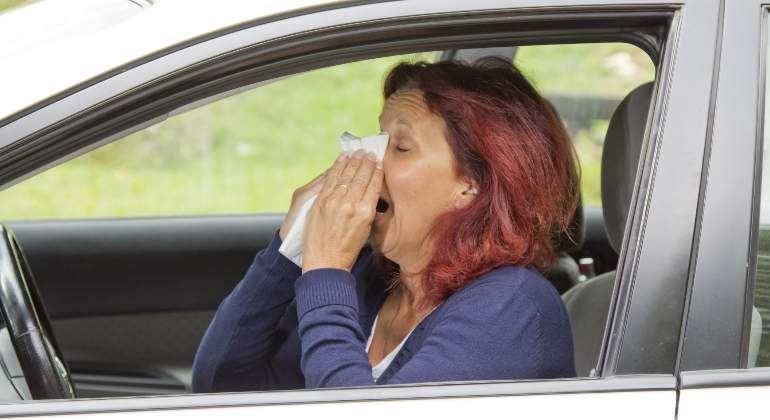 alergia-coche-dreamstime.jpg