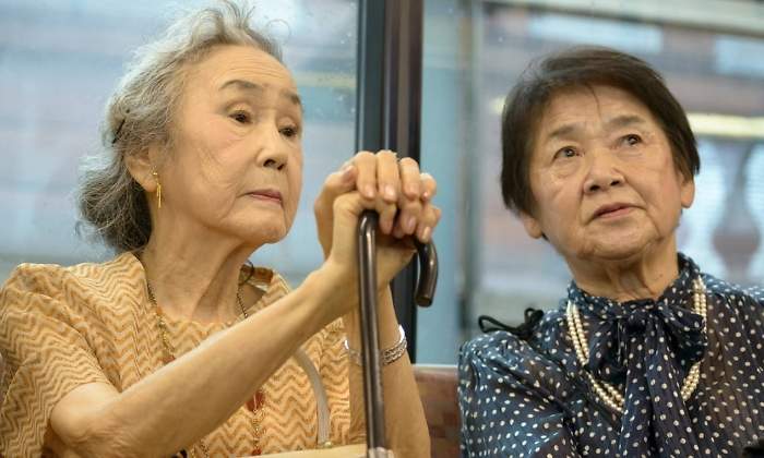 japonesas-jubiladas-alami.jpg
