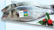 Alcampo promueve la alimentación saludable española con la lubina de Doñana a un precio de chollo