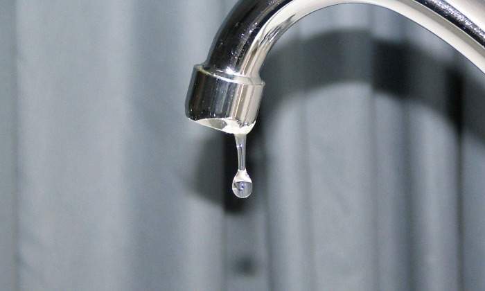 grifo-agua.jpg