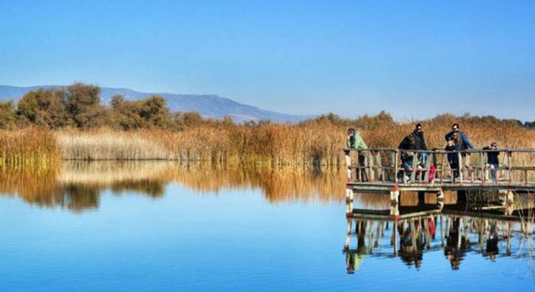 tablas-daimiel
