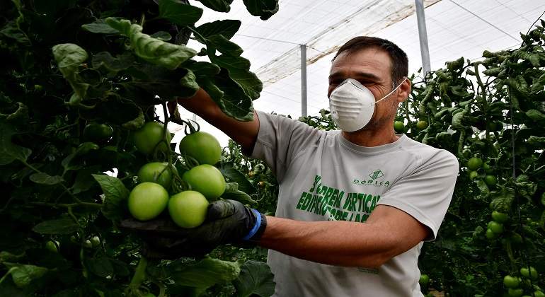 Agricultor-con-mascarilla.jpg
