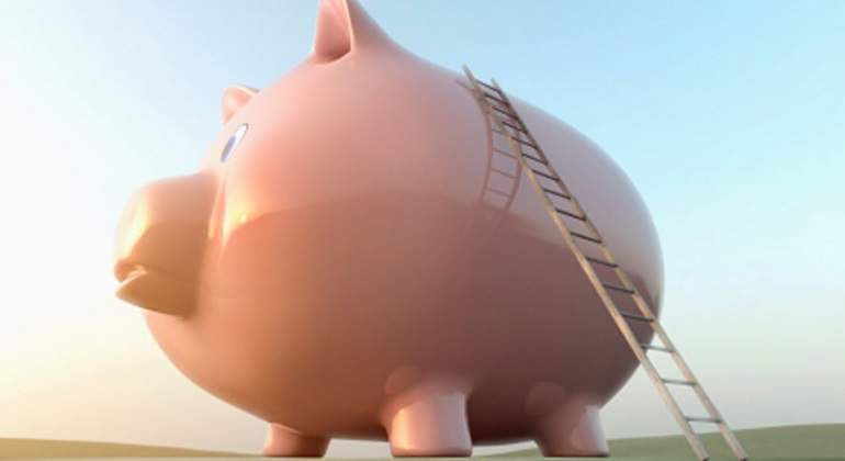 cerdito-escalera-pension.jpg