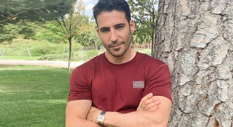 silvestre-habla-fake-otra770.jpg