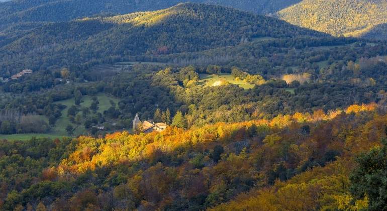 bosques-espana-montseny.jpg