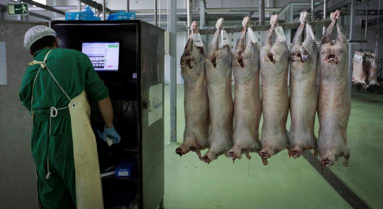 extremadura-halal
