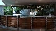 La UE alcanza un acuerdo con Pfizer y BionTech para el suministro de 200 millones de dosis