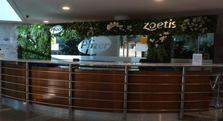 pfizer.jpg