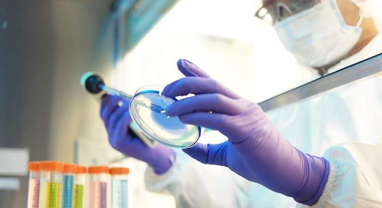 Experto-toma-muestras-en-un-laboratorio-iStock.jpg
