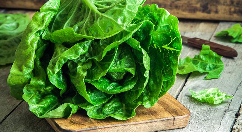 lechuga-beneficios-propiedades.jpg