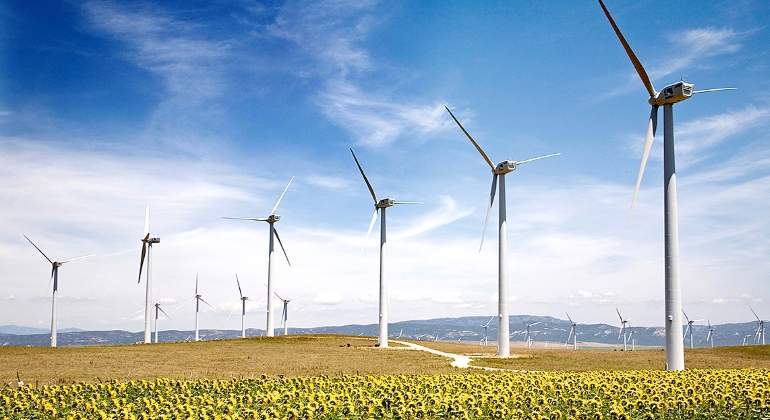 renovables-eolica-girasoles.jpg