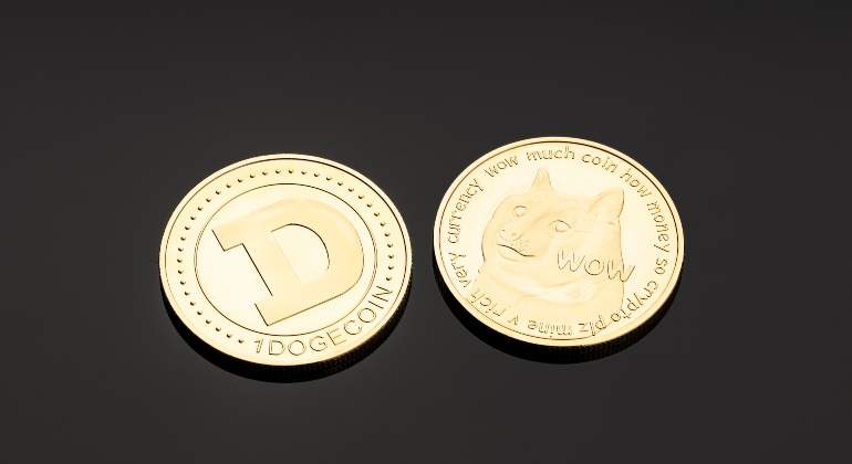 doge-770.jpg