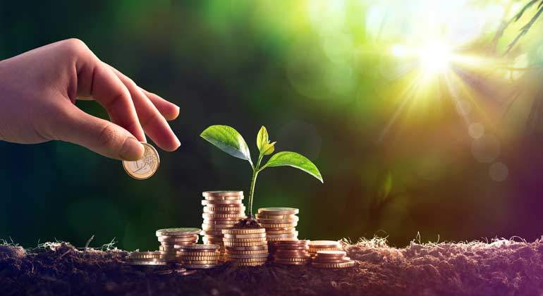Verde-monedas-istock-770.jpg