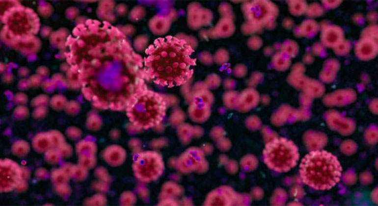 covid19-coronavirus.jpg