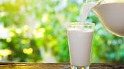 ¿Cuál es la mejor leche semidesnatada? Las marcas blancas se vuelven a imponer para la OCU