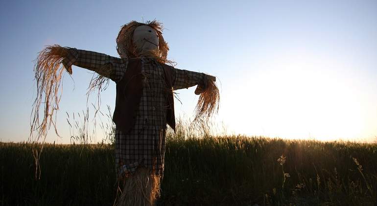 Un-espantapajaros--en-el-campo-durante-un-atardecer-iStock.jpg