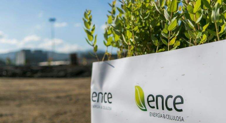 ence-plantas-770.jpg