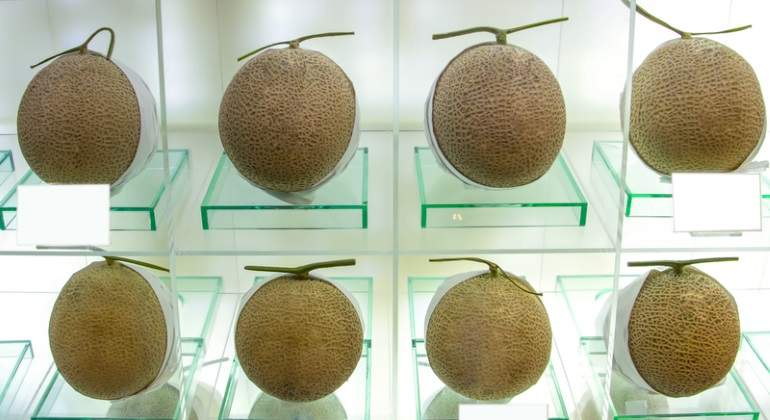 melones-japon-joya-dreams.jpg