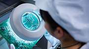 Cómo invertir en fabricantes de chips: lo más rentable de la tecnología en bolsa
