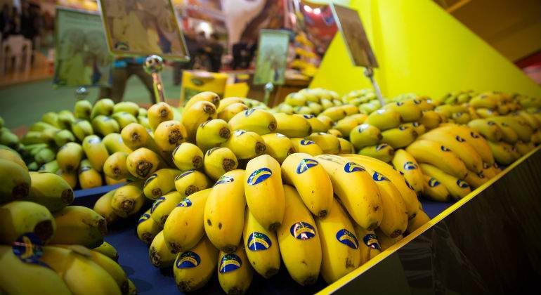 platano-canarias-web.jpg