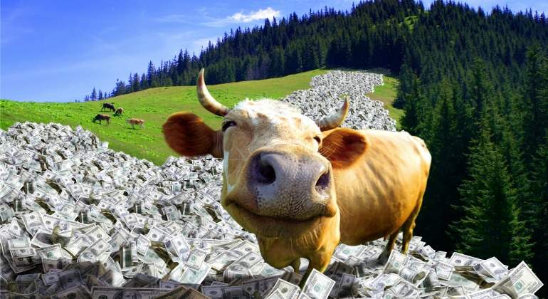 vaca-dinero-montanas.jpg