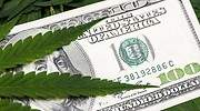 Invertir en cannabis: los pros y los contras de llevar marihuana en nuestra cartera