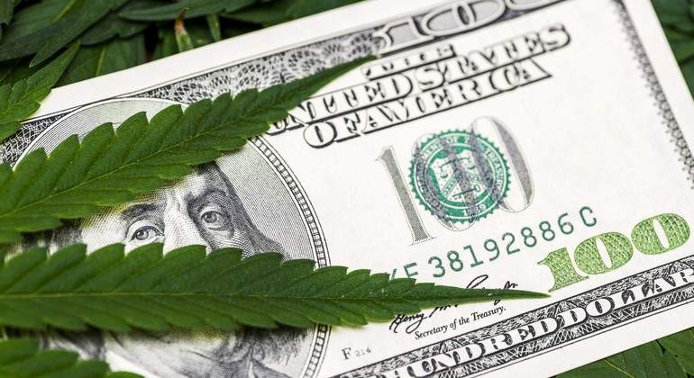 cannabis-dreamstime.jpg