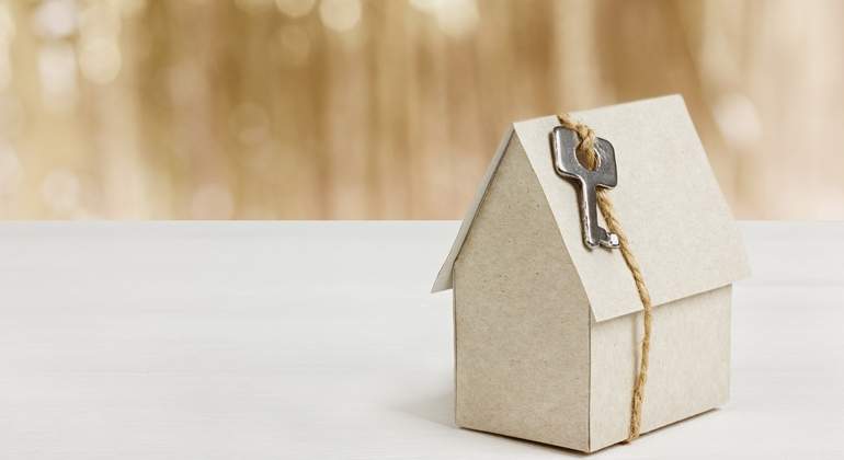 Casa-carton.jpg
