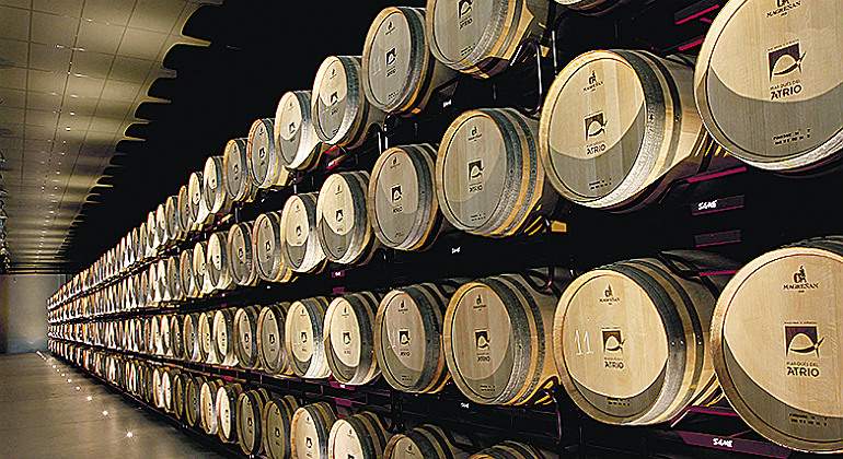 marques-atrio-bodega.jpg