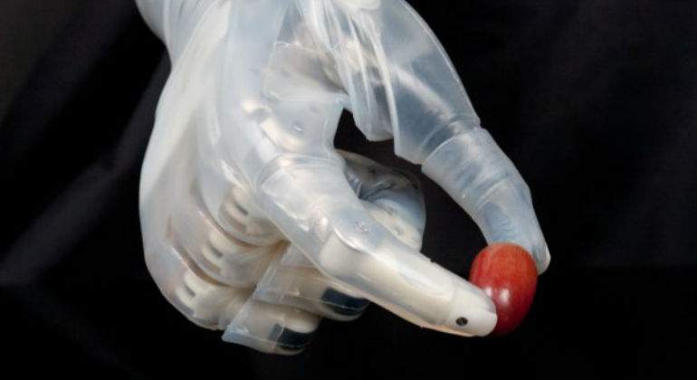 robot-fruta.jpg