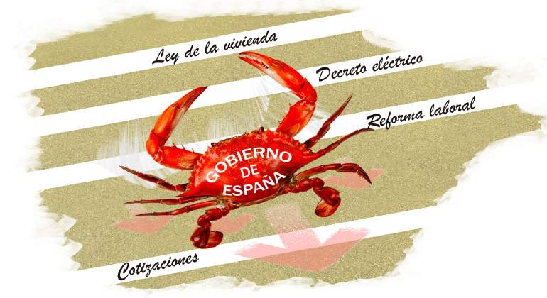 cangrejo-web.jpg