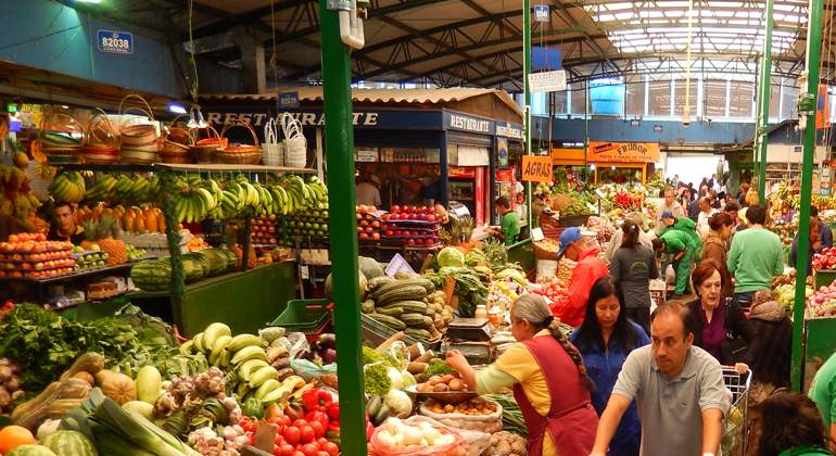 alimentos
