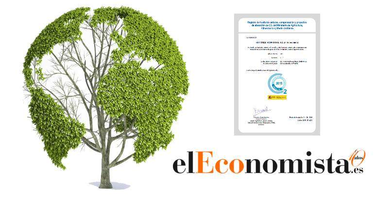 montaje-huella-arbol.jpg