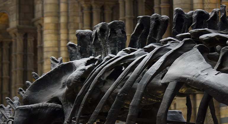 Dinosaurio