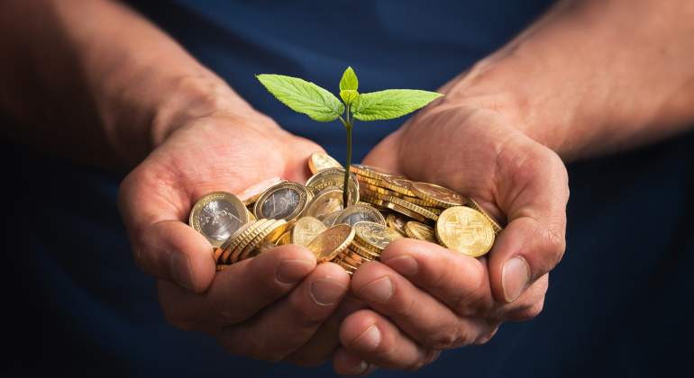 dinero-verde-istock.jpg