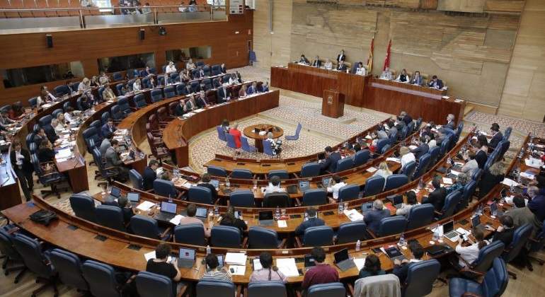 asamblea-madrid-efe.jpg