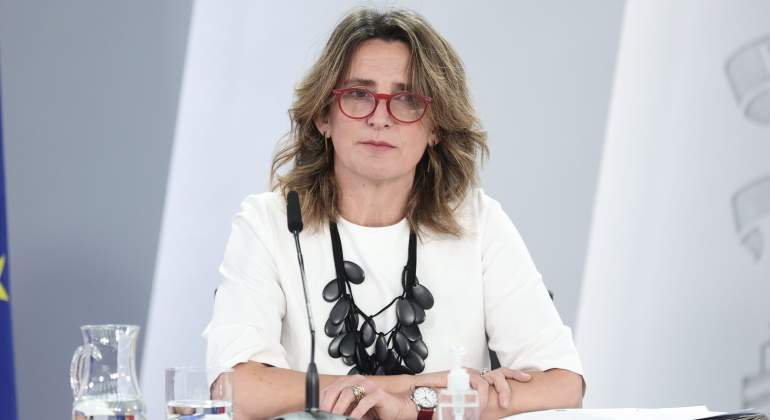 teresa-ribera.jpg