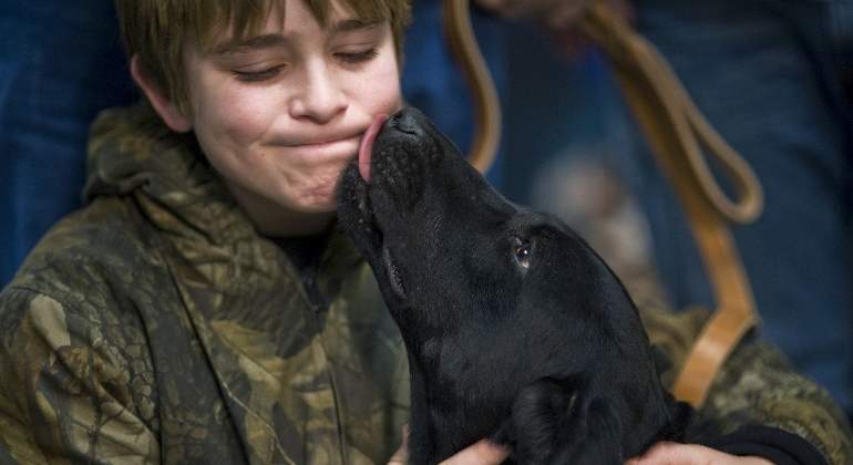 perro-lengua-niño-770x420-pixabay.jpg